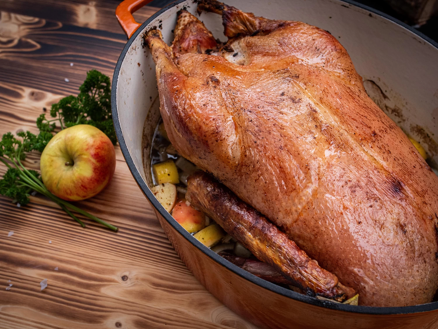 Grillfürst Dutch Oven Sternentöpfchen / Gusseisen Bräter - Emailliert - XL - Orange – Bild 8