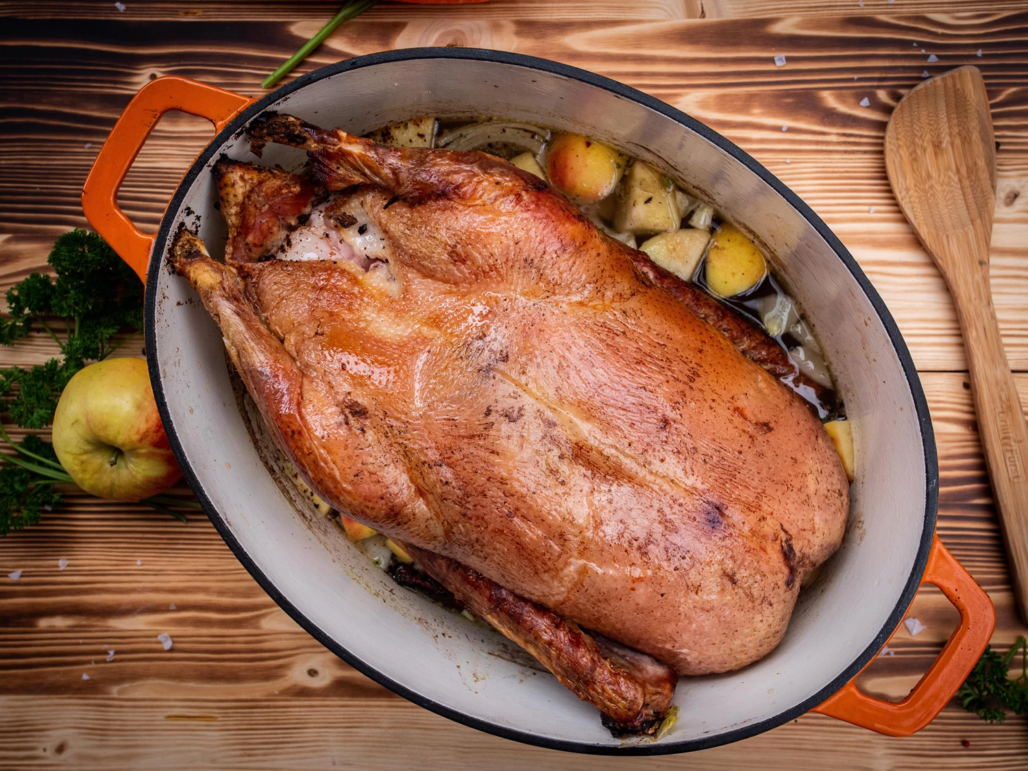 Grillfürst Dutch Oven Sternentöpfchen / Gusseisen Bräter - Emailliert - XL - Orange – Bild 7